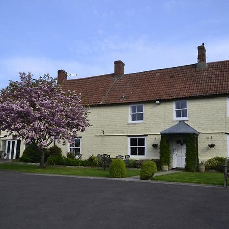 The Lawns Tea Room And B&B Ashcott Exterior foto