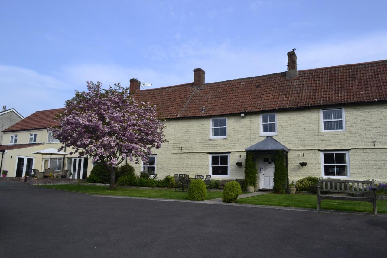 The Lawns Tea Room And B&B Ashcott Exterior foto